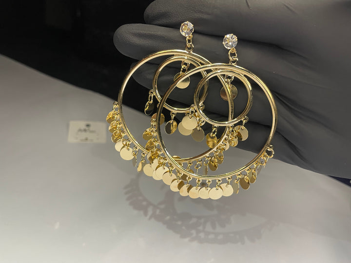 Luxury Coin Hoop Earrings